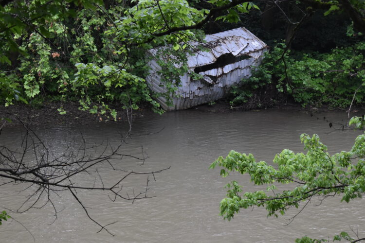 Flood Debris Remains Along Ohio County Creeks One Year Later